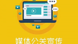 智聯(lián)灣區(qū)，網(wǎng)贏未來 廣東省網(wǎng)絡推廣與市場營銷整合策劃方案